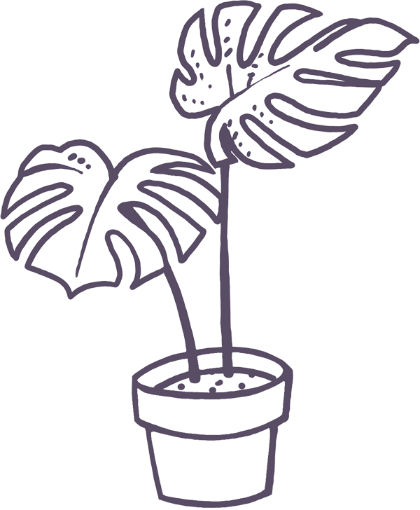 plant-purple-trans